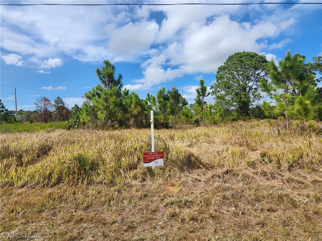 813 Asher Street E Lehigh Acres FL 33974 223027559 image1