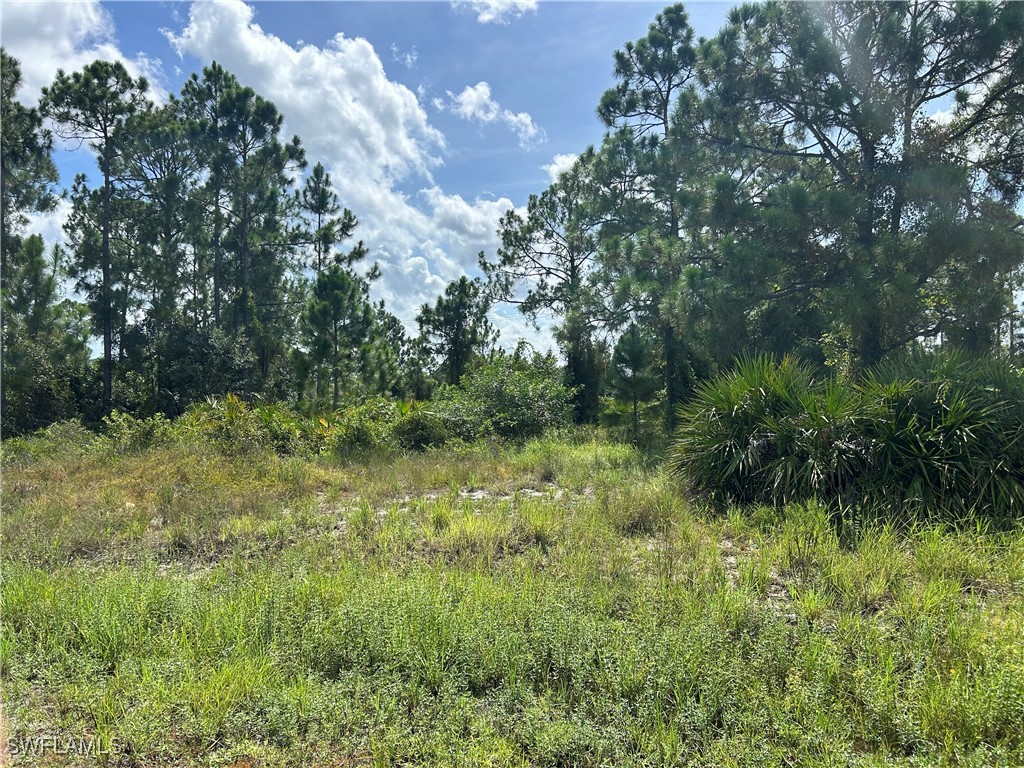 814 Burns Avenue S Lehigh Acres FL 33974 224064701 image1