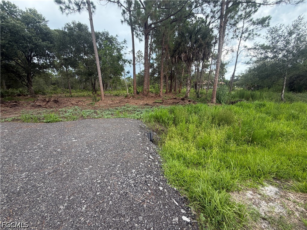815 Appaloosa Avenue Clewiston FL 33440 2026015783 image2