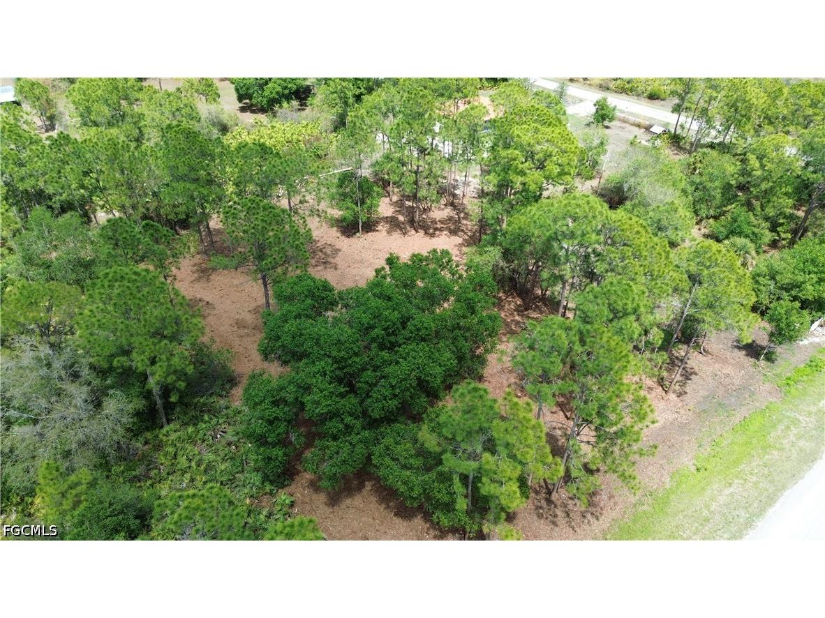 815 Appaloosa Avenue Clewiston FL 33440 2026015783 image3