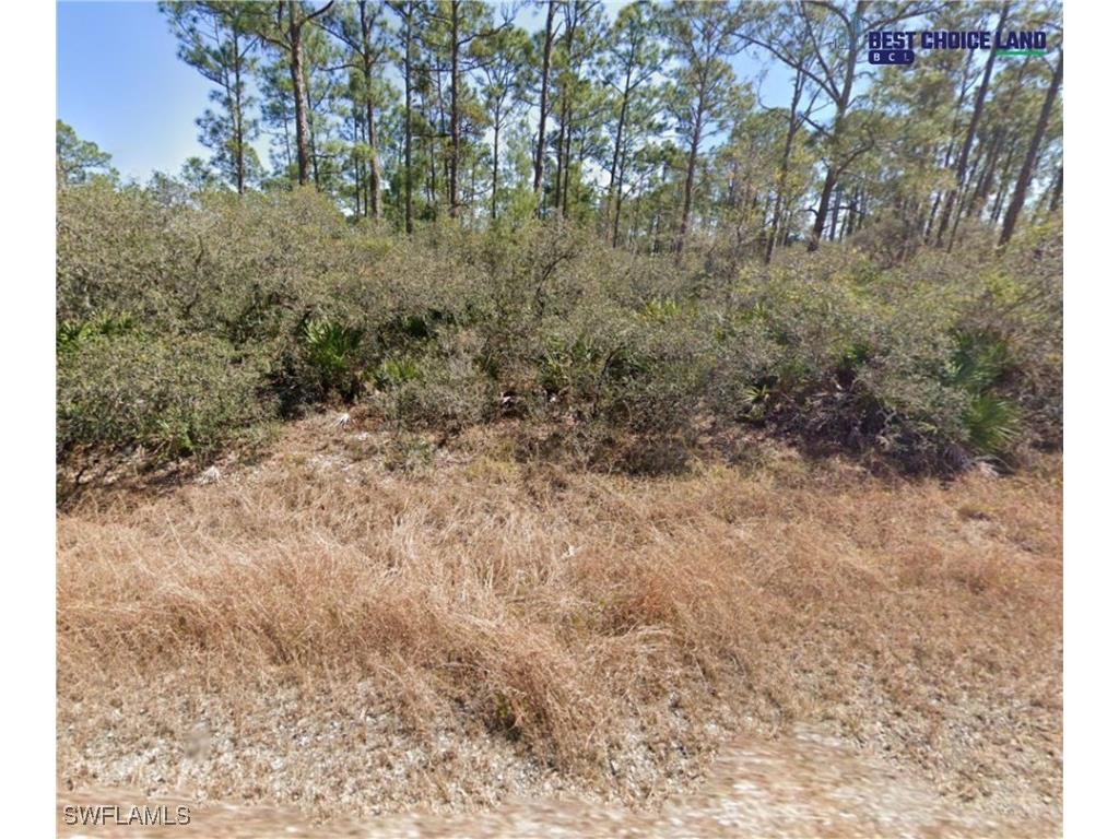 815 Hollywood Street Lake Placid FL 33852 224094673 image1