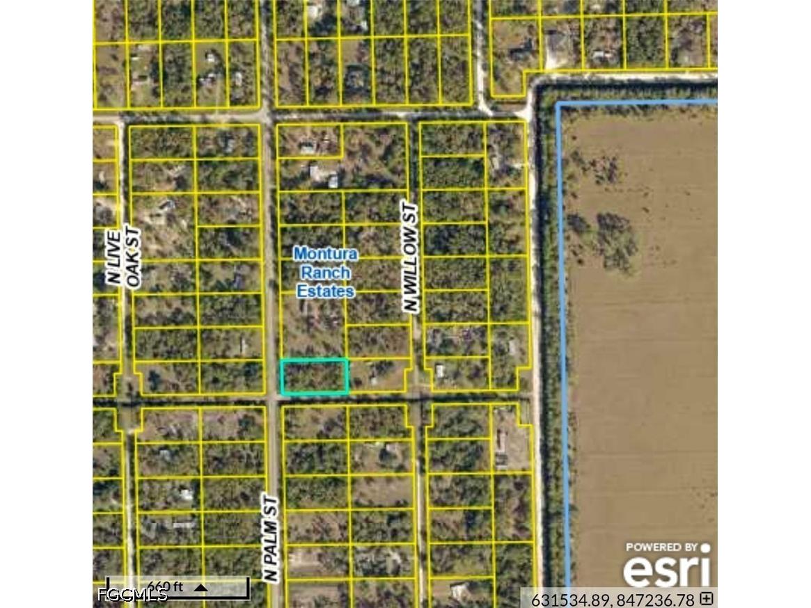 815 N Palm Street Clewiston FL 33440 2026017584 image4