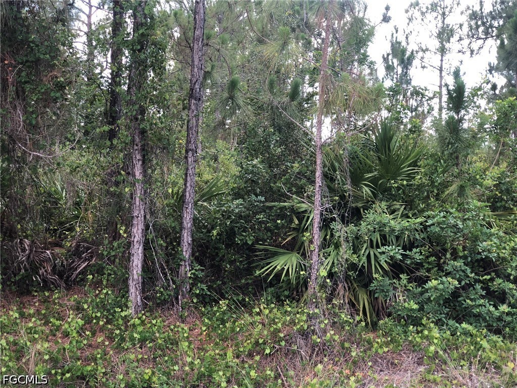 815 State Avenue Lehigh Acres FL 33972 2026025147 image1
