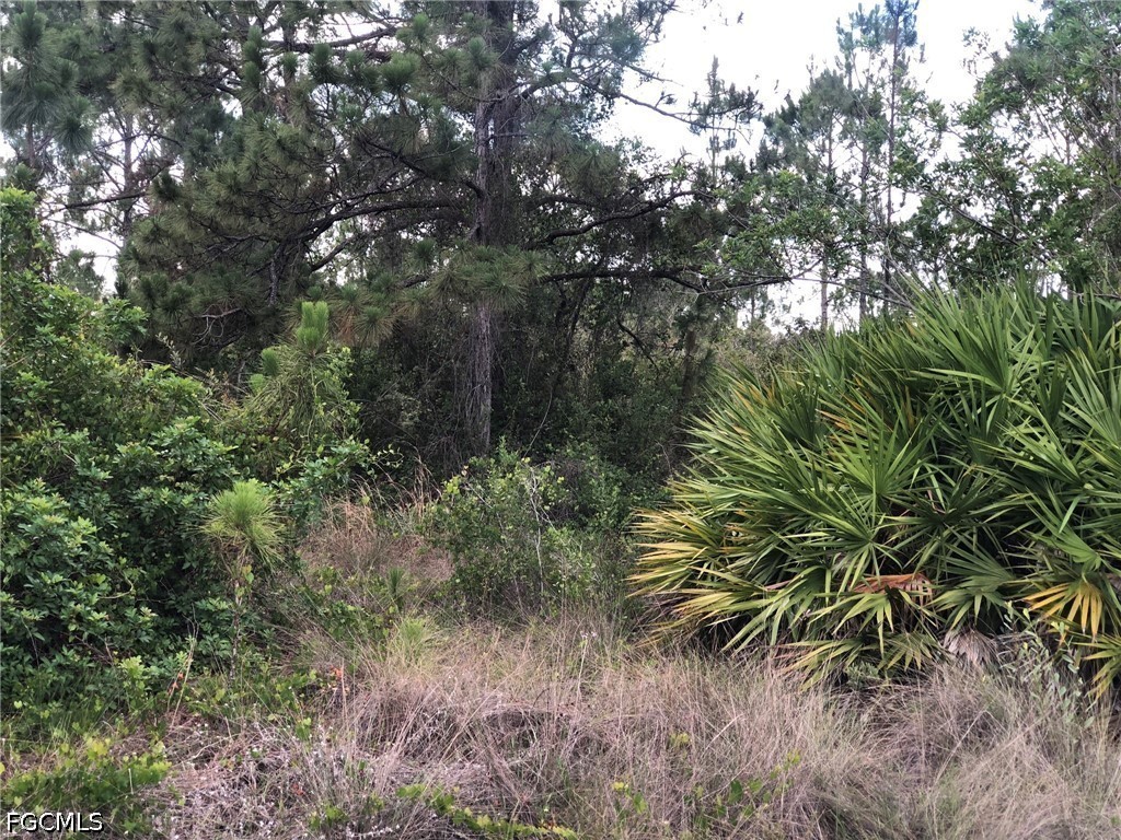 815 State Avenue Lehigh Acres FL 33972 2026025147 image2