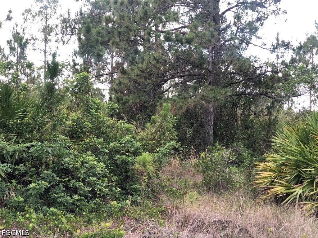 815 State Avenue Lehigh Acres FL 33972 2026025147 image3