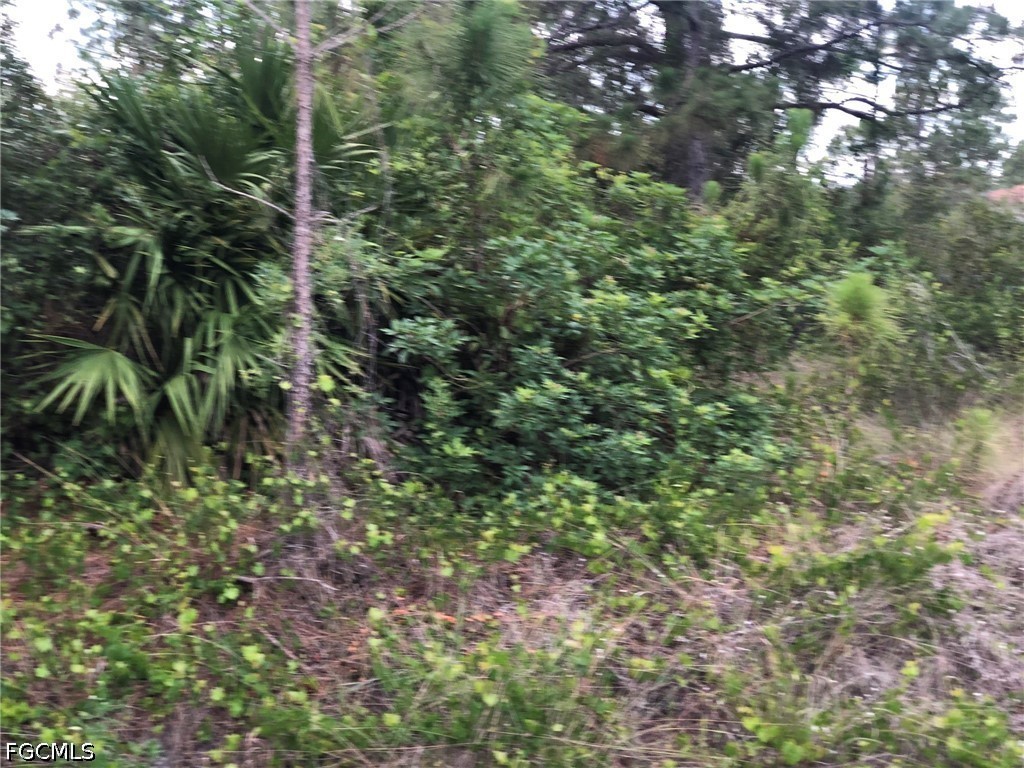 815 State Avenue Lehigh Acres FL 33972 2026025147 image4