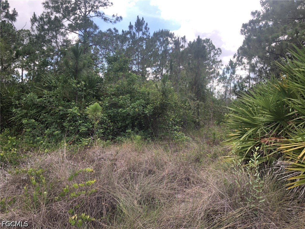 815 State Avenue Lehigh Acres FL 33972 2026025147 image5