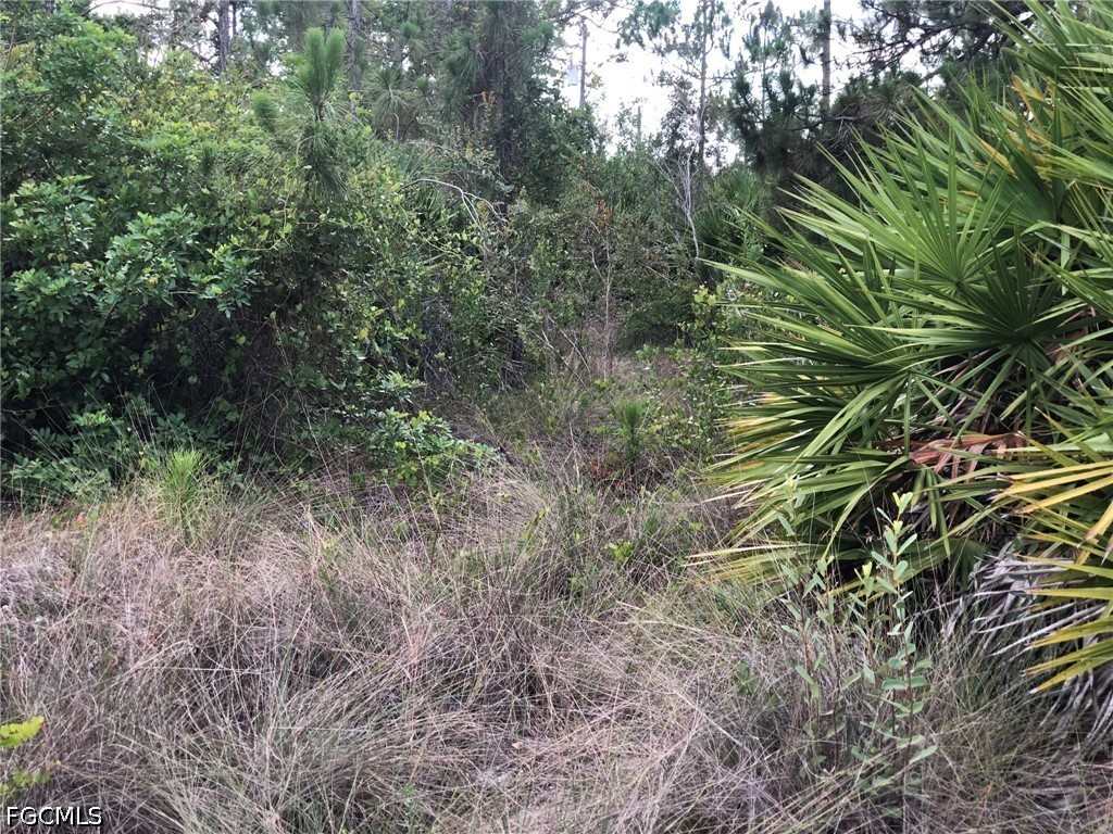 815 State Avenue Lehigh Acres FL 33972 2026025147 image6