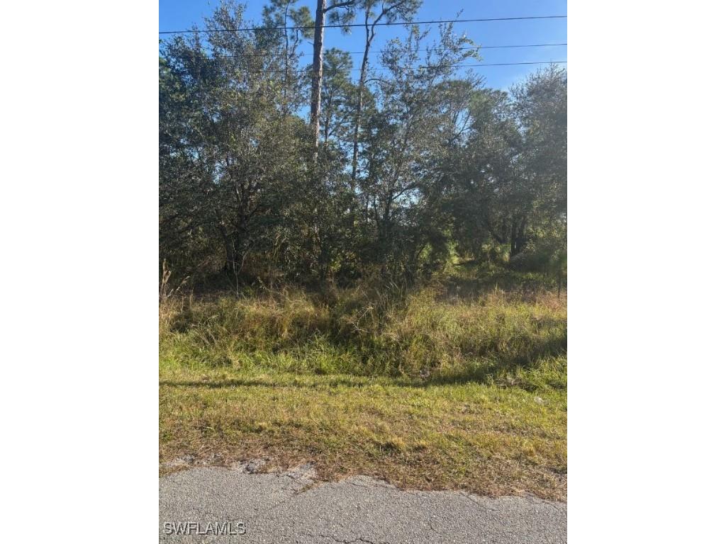 816 Clayton Avenue Lehigh Acres FL 33972 224098499 image1