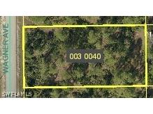 816 Wagner Avenue Lehigh Acres FL 33972 224054734 image1