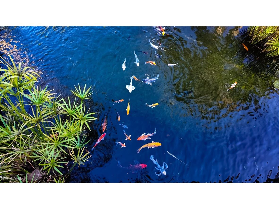 8169 Via Vecchia Naples FL 34108 225073279 image28