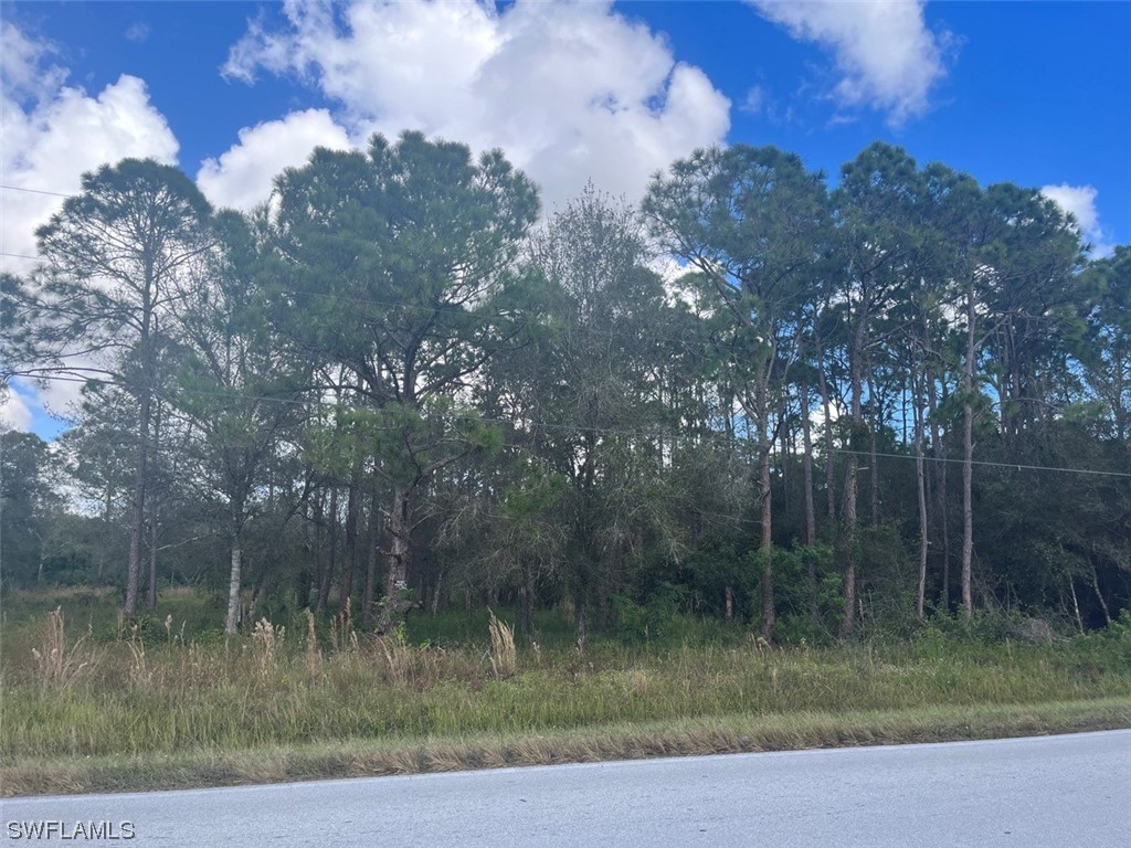 817 Woodland Boulevard Clewiston FL 33440 223082905 image1