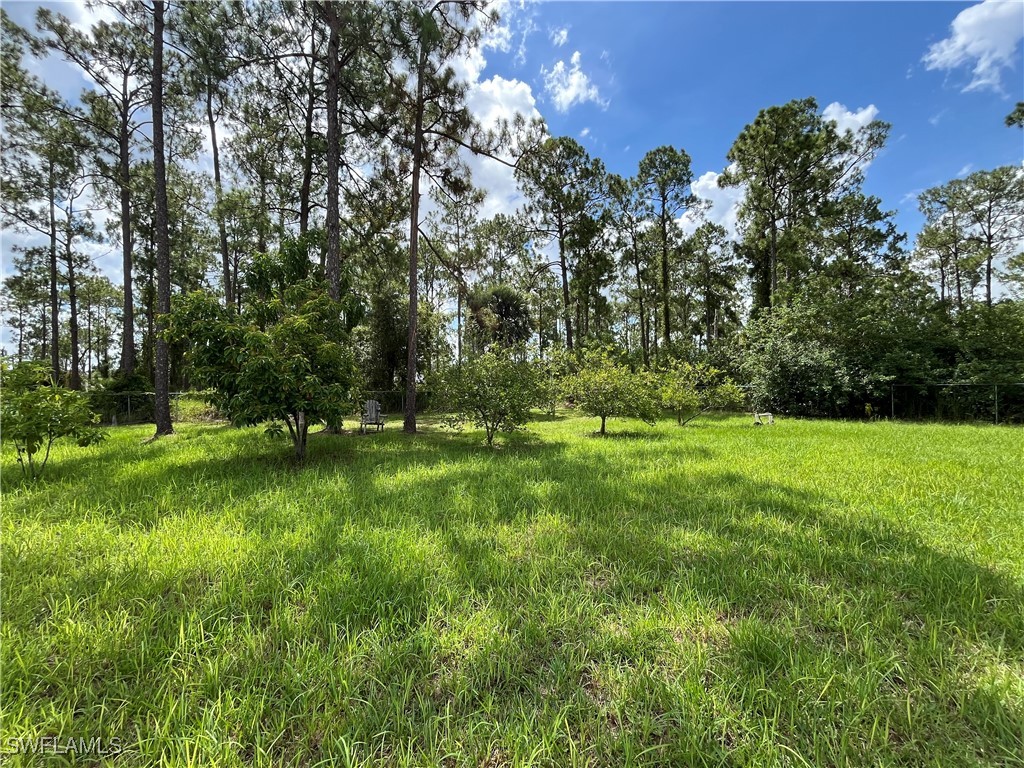 818 Desoto Avenue Lehigh Acres FL 33972 225063830 image5