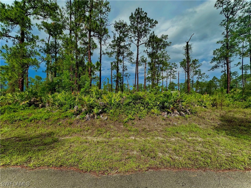 820 Grant Avenue Lehigh Acres FL 33972 223040162 image1