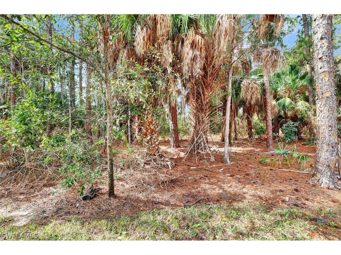 8206 Sanctuary Drive #1 Naples FL 34104 226005172 image9