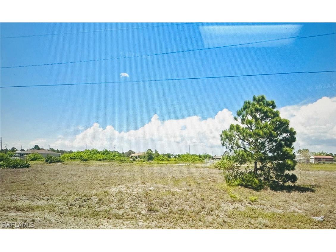 821 Newell Street E Lehigh Acres FL 33974 224028649 image1