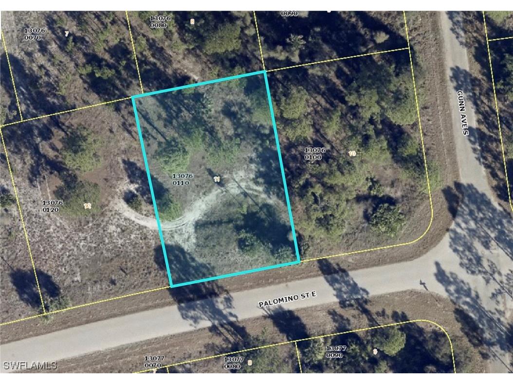 821 Palomino Street E Lehigh Acres FL 33974 224014017 image1