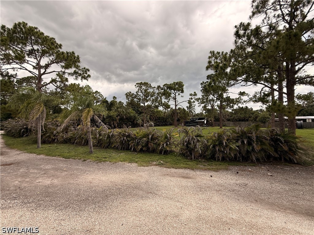 8219 Bartholomew Drive North Fort Myers FL 33917 226024775 image6