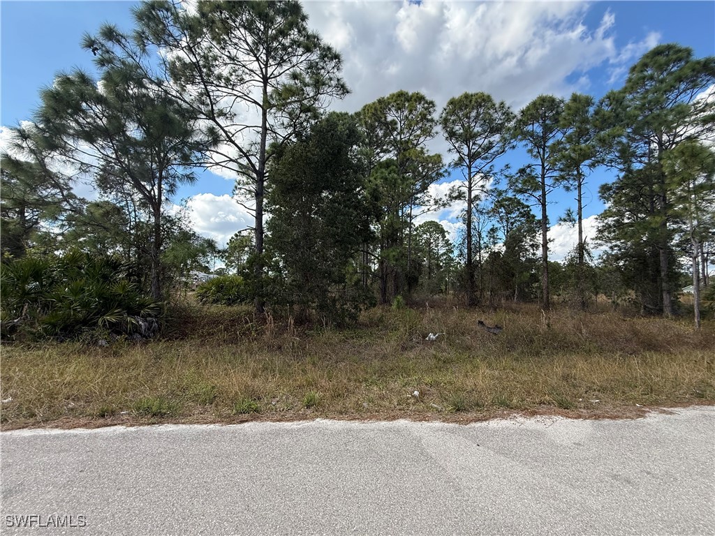 822 Appleton Avenue Lehigh Acres FL 33974 226003738 image1