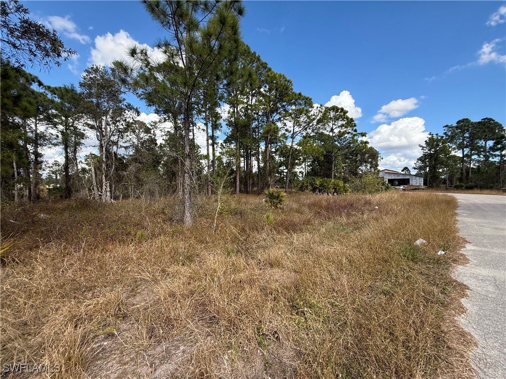 822 Appleton Avenue Lehigh Acres FL 33974 226003738 image2