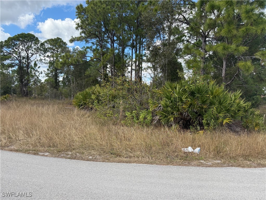 822 Appleton Avenue Lehigh Acres FL 33974 226003738 image3