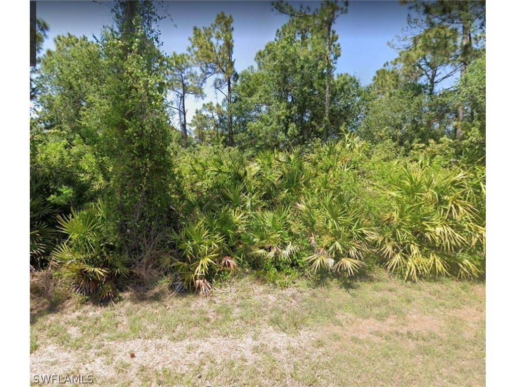 823 Clow Street E Lehigh Acres FL 33974 222053502 image1