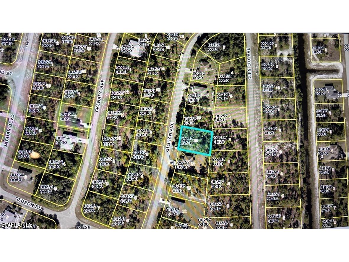 823 Gillian Avenue Lehigh Acres FL 33974 226024862 image2