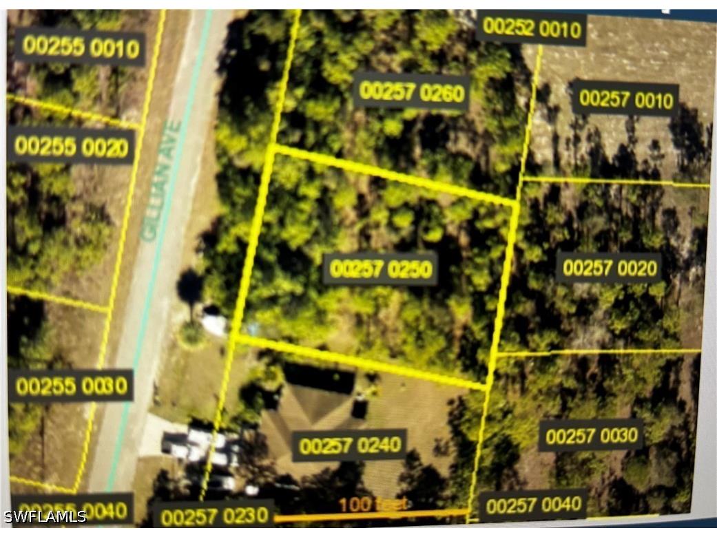 823 Gillian Avenue Lehigh Acres FL 33974 226024862 image3