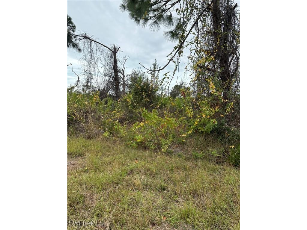 8234 Dimstead Street Port Charlotte FL 33981 225052889 image5