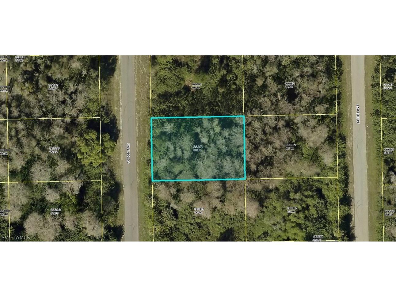 824 Acton Avenue Lehigh Acres FL 33971 221038619 image1