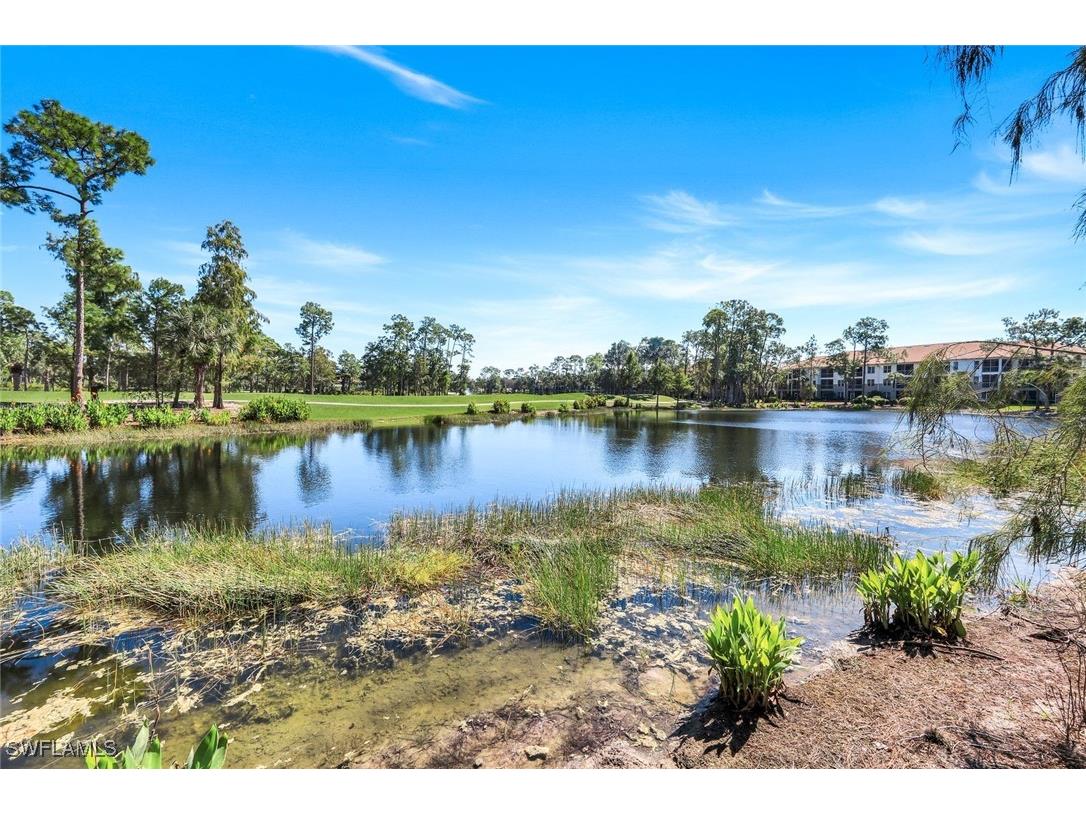 8247 Parkstone Place #205 Naples FL 34120 225074744 image27