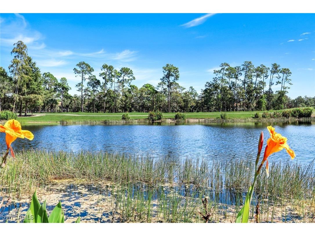 8247 Parkstone Place #205 Naples FL 34120 225074744 image29