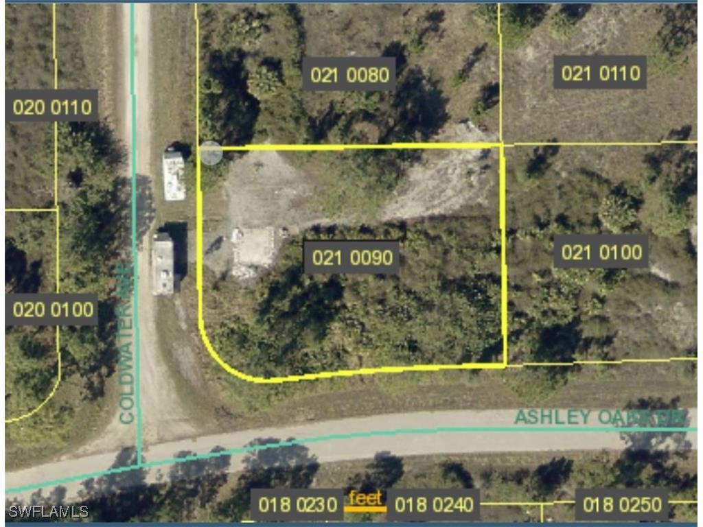 825 Coldwater Avenue Lehigh Acres FL 33974 225052739 image1
