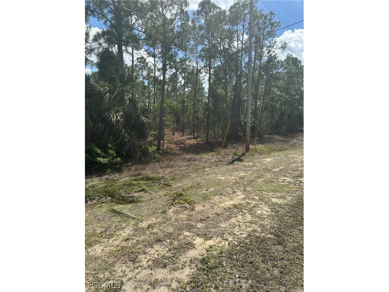 825 Grenada Avenue Lehigh Acres FL 33974 2026012509 image3