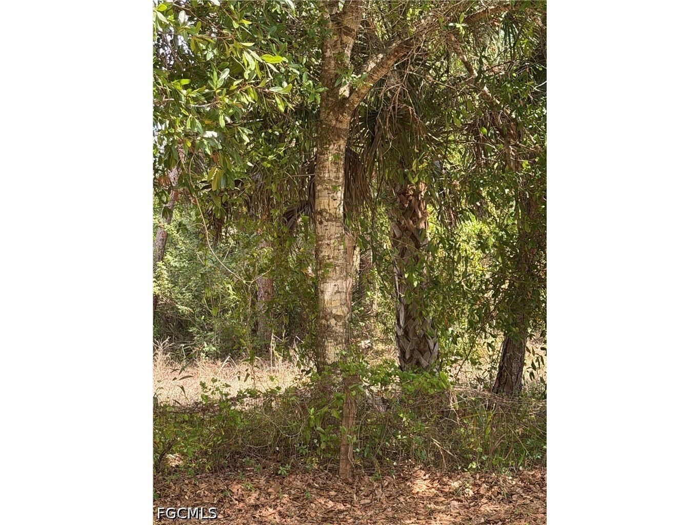 8261 Scarecrow Road North Fort Myers FL 33917 2026015754 image3