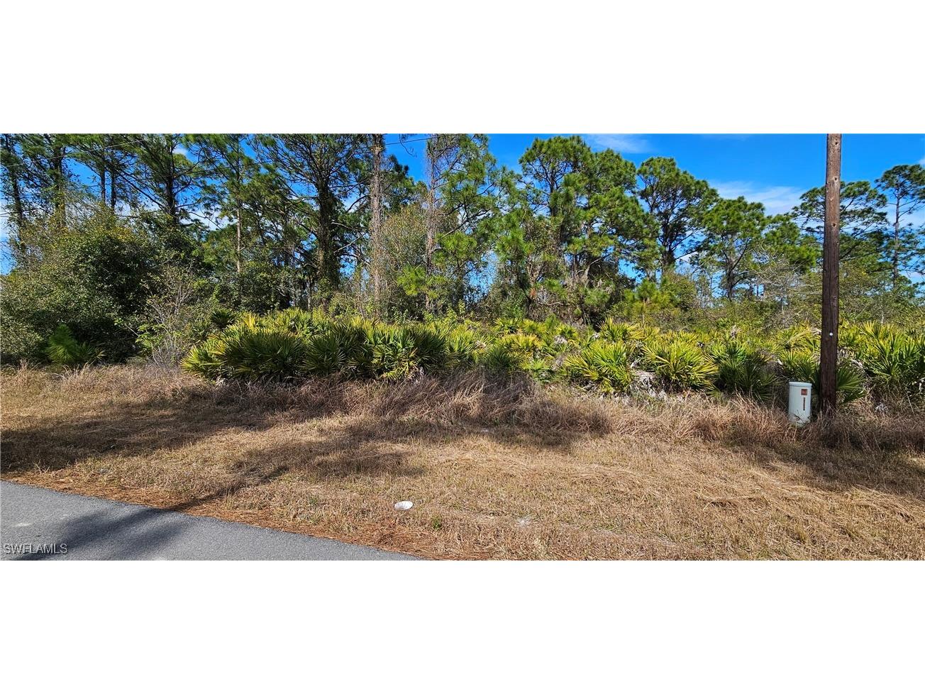 827 Cadis Street E Lehigh Acres FL 33974 225010124 image1