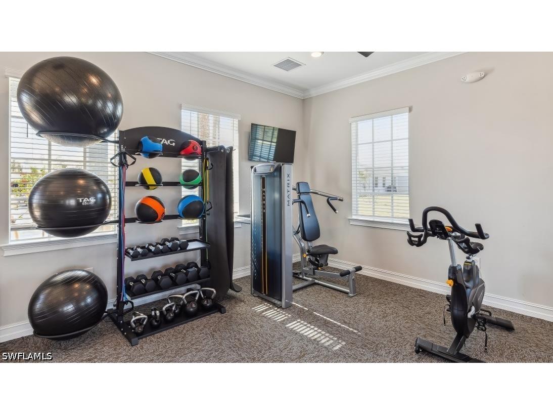 8273 Everly Preserve Drive Lehigh Acres FL 33971 226008651 image19