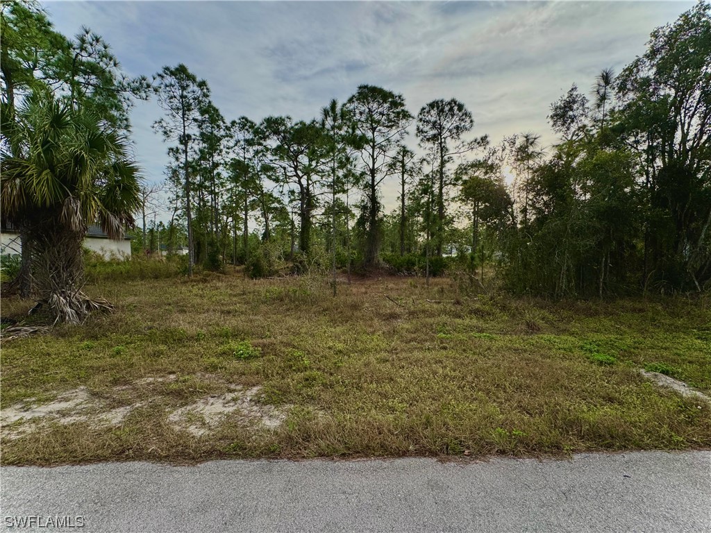 829 Downer Avenue S Lehigh Acres FL 33974 224007794 image1