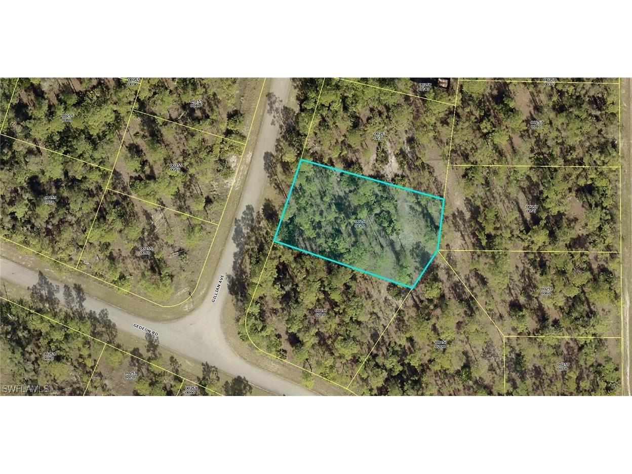 829 Gillian Avenue Lehigh Acres FL 33974 223030725 image1