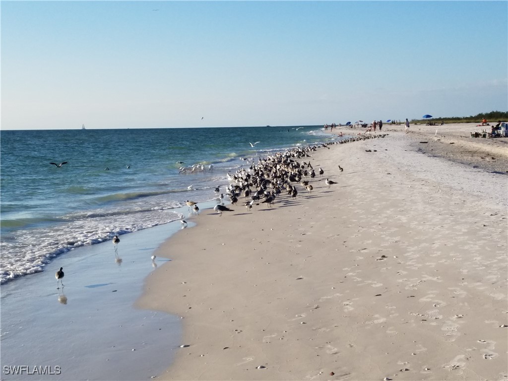 829 W Elkcam Circle #2-208 Marco Island FL 34145 225080171 image25