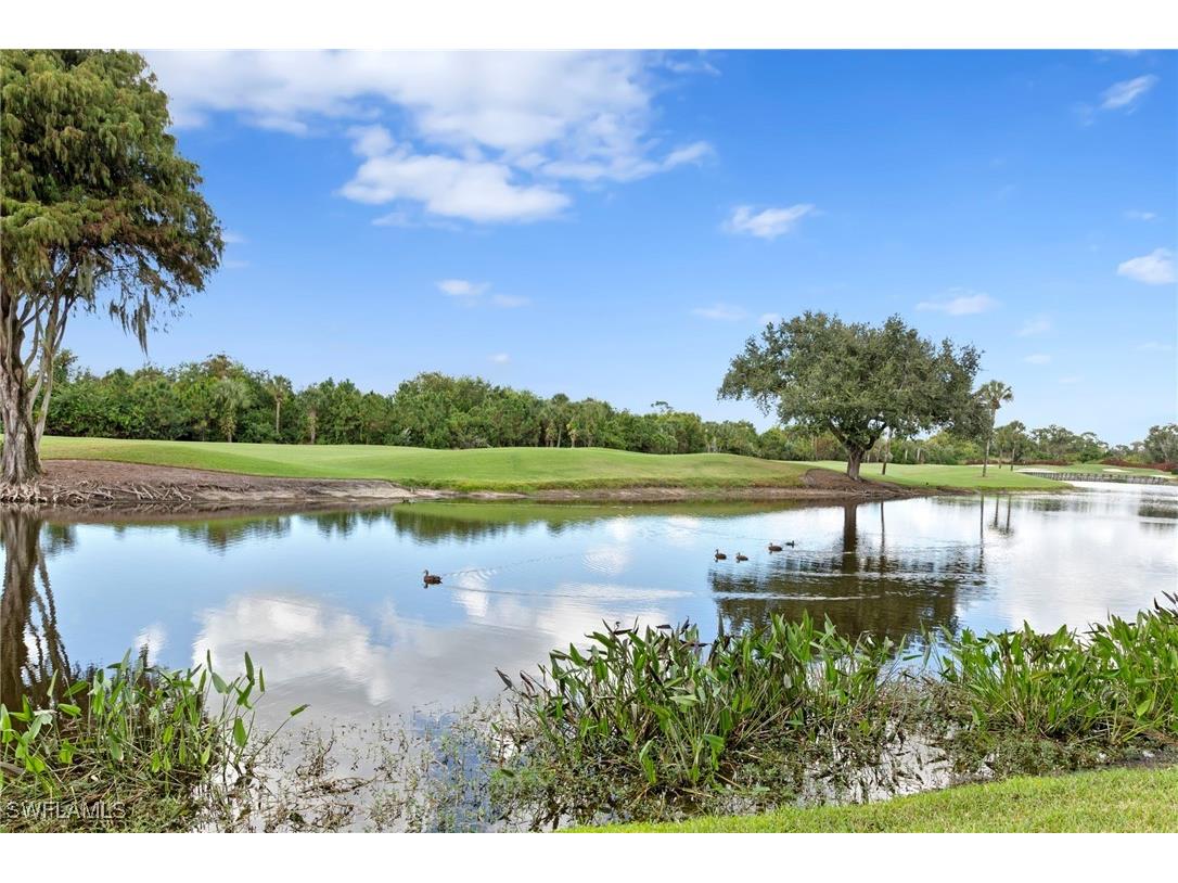8291 Grand Palm Drive #4 Estero FL 33967 225076112 image4
