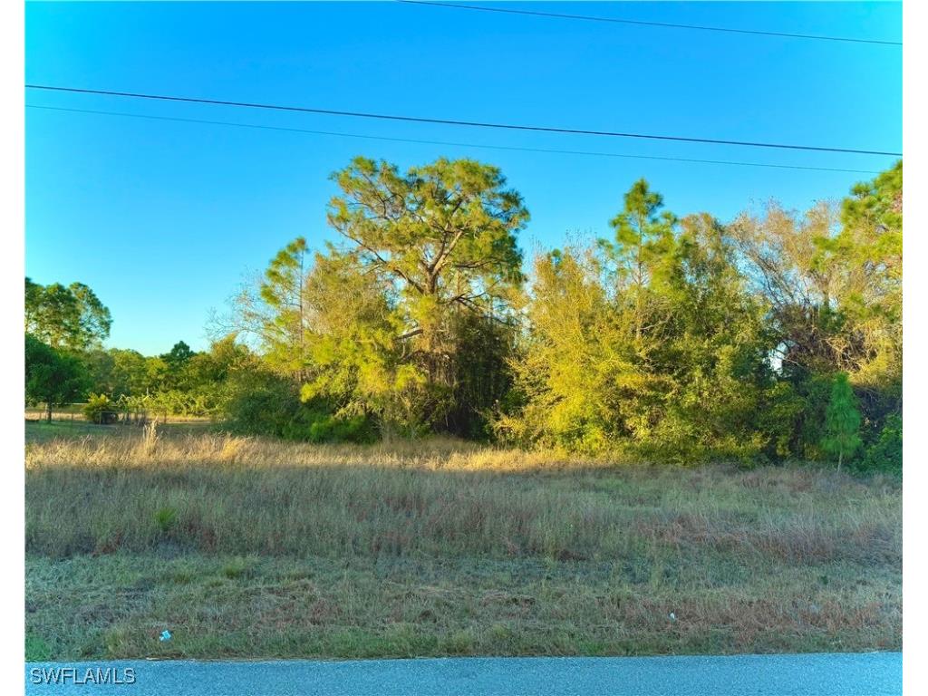 833 Chezy Street E Lehigh Acres FL 33974 225003538 image1