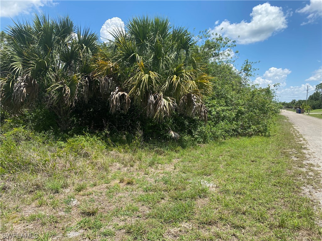 833 S Da Vinci Avenue Lehigh Acres FL 33974 223044382 image1