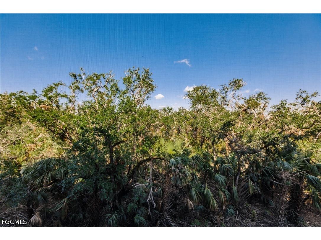 8331 Whiskey Preserve Circle #438 Fort Myers FL 33919 2026020842 image24