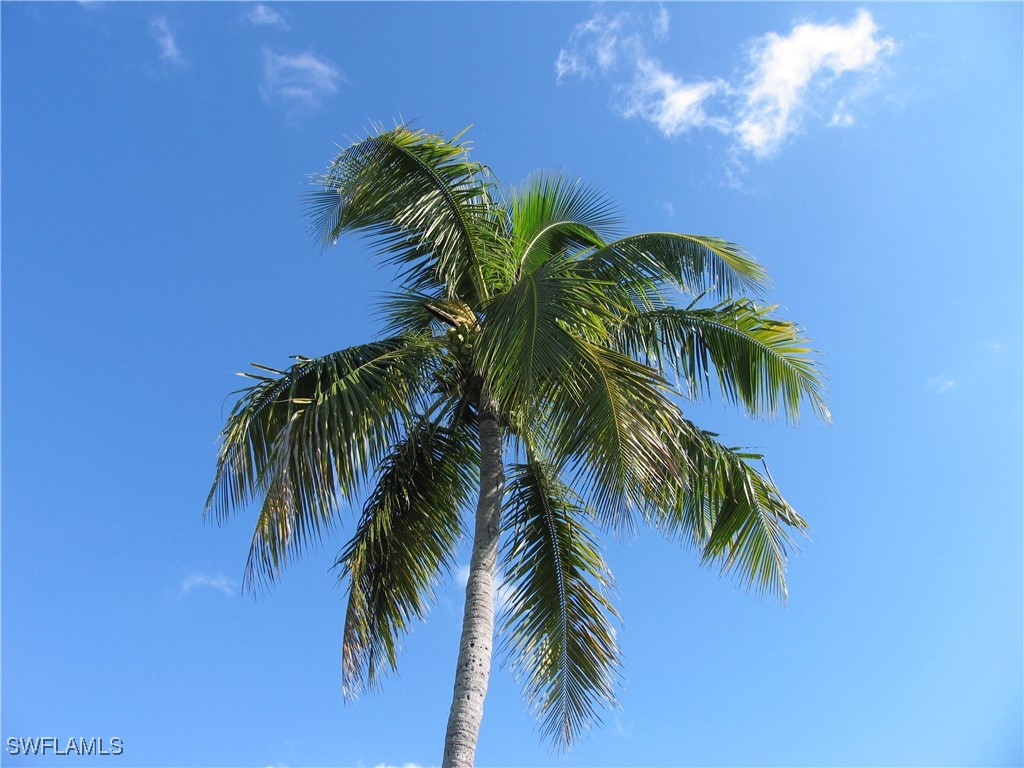 834 SE 46th Street #2A Cape Coral FL 33904 225056041 image25