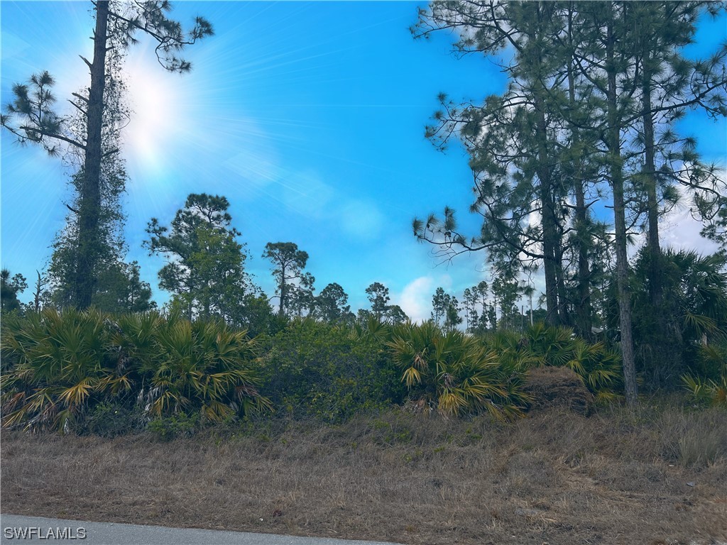 835 Runble Street E Lehigh Acres FL 33974 223025631 image1