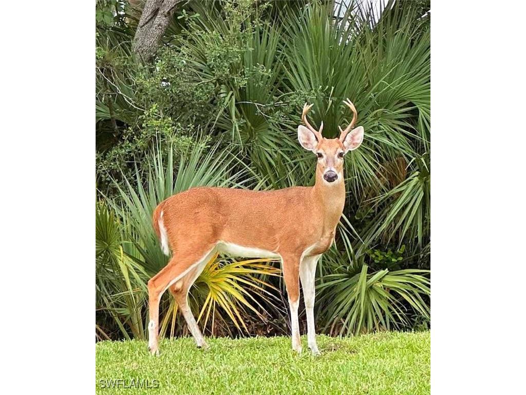 8355 Heritage Links Court #1624 Naples FL 34112 225079203 image33