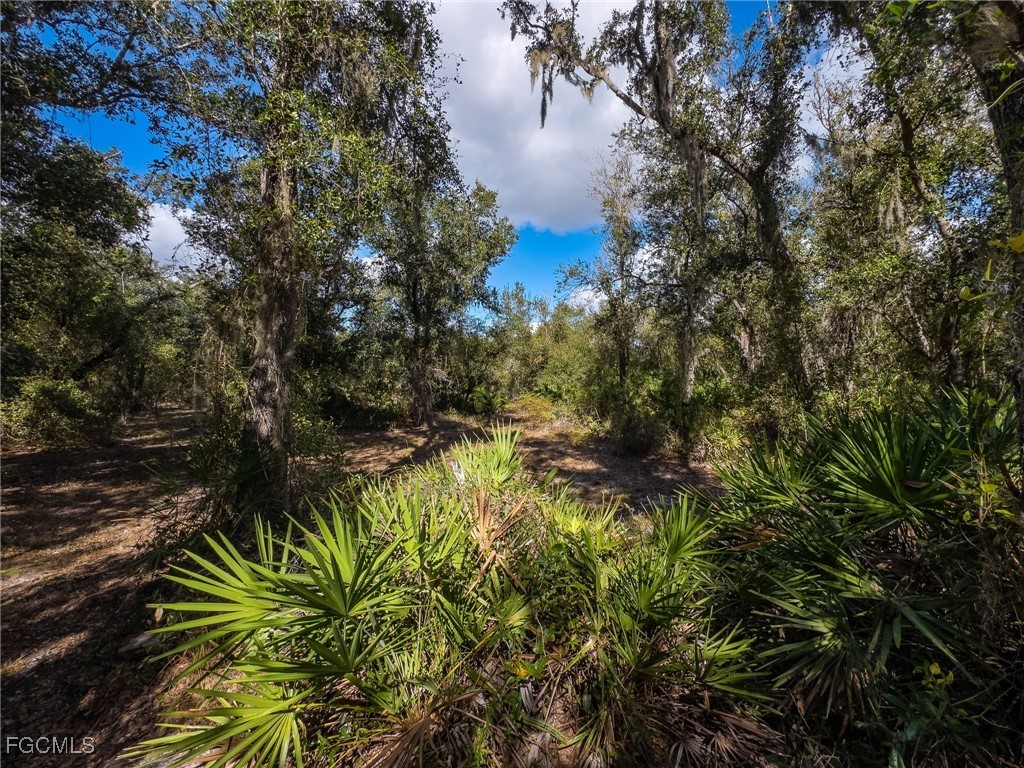 8355 SW Prairie Avenue Arcadia FL 34269 2025021234 image16