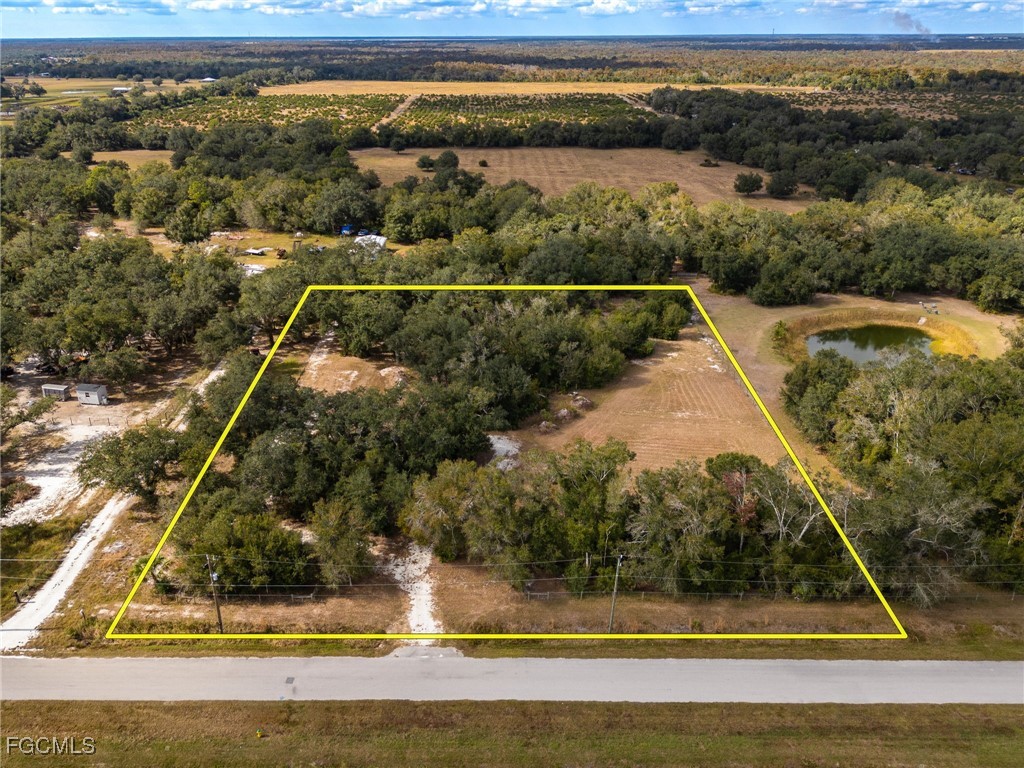 8355 SW Prairie Avenue Arcadia FL 34269 2025021234 image2