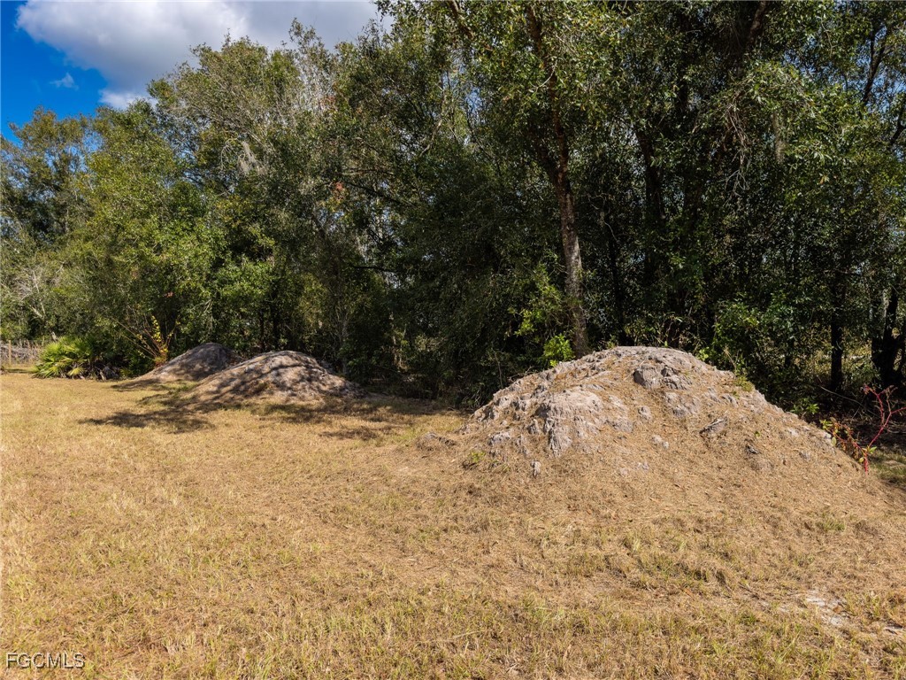 8355 SW Prairie Avenue Arcadia FL 34269 2025021234 image21